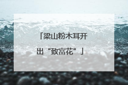 梁山粉木耳开出“致富花”