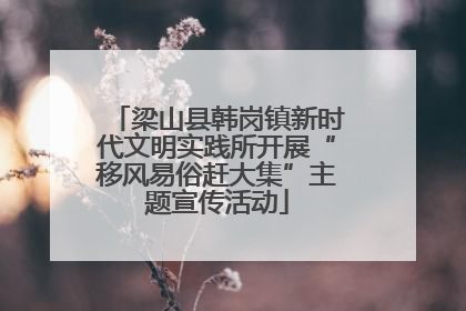 梁山县韩岗镇新时代文明实践所开展“移风易俗赶大集”主题宣传活动