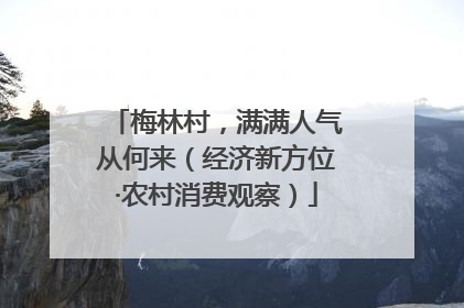 梅林村，满满人气从何来（经济新方位·农村消费观察）
