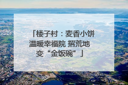 楼子村：麦香小饼温暖幸福院 撂荒地变“金饭碗”