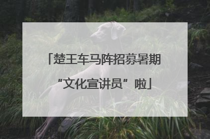 楚王车马阵招募暑期“文化宣讲员”啦