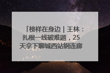 榜样在身边｜王林：扎根一线破难题，25天拿下聊城西站钢连廊“硬核”工程