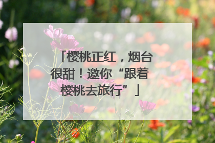 樱桃正红，烟台很甜！邀你“跟着樱桃去旅行”