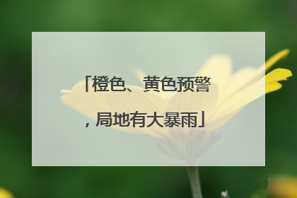 橙色、黄色预警，局地有大暴雨