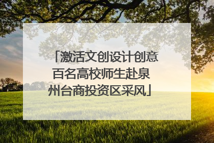 激活文创设计创意 百名高校师生赴泉州台商投资区采风