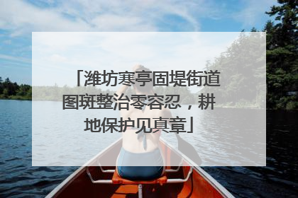 潍坊寒亭固堤街道图斑整治零容忍，耕地保护见真章