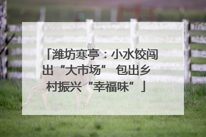 潍坊寒亭：小水饺闯出“大市场” 包出乡村振兴“幸福味”