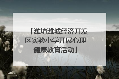 潍坊潍城经济开发区实验小学开展心理健康教育活动