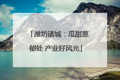 潍坊诸城：瓜甜葱郁处 产业好风光