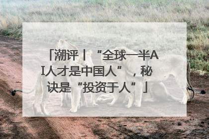 潮评丨“全球一半AI人才是中国人”，秘诀是“投资于人”