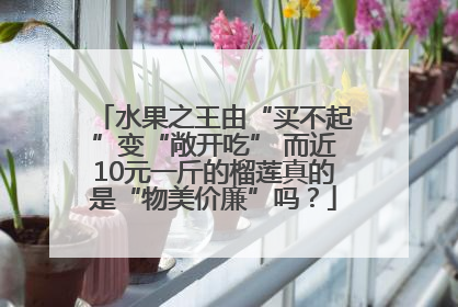 水果之王由“买不起”变“敞开吃” 而近10元一斤的榴莲真的是“物美价廉”吗？
