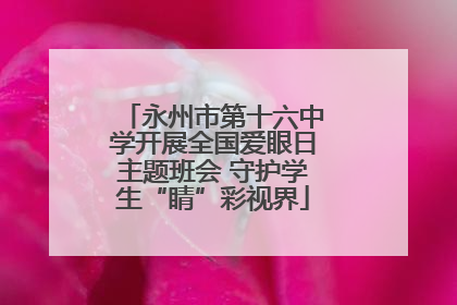 永州市第十六中学开展全国爱眼日主题班会 守护学生“睛”彩视界