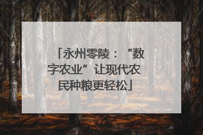 永州零陵：“数字农业”让现代农民种粮更轻松