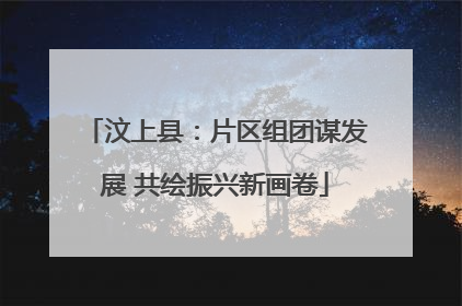汶上县：片区组团谋发展 共绘振兴新画卷