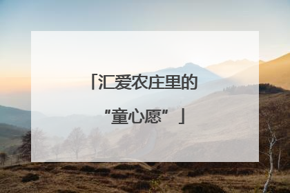 汇爱农庄里的“童心愿”