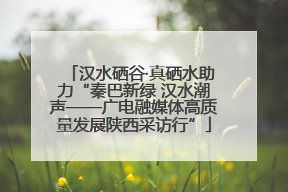 汉水硒谷·真硒水助力“秦巴新绿 汉水潮声——广电融媒体高质量发展陕西采访行”