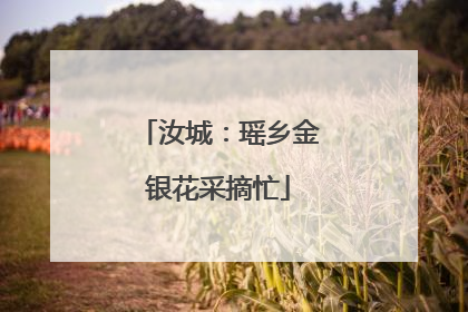 汝城：瑶乡金银花采摘忙