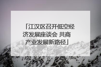 江汉区召开低空经济发展座谈会 共商产业发展新路径