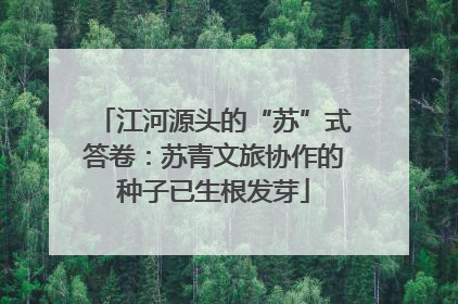 江河源头的“苏”式答卷：苏青文旅协作的种子已生根发芽