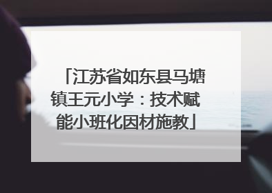 江苏省如东县马塘镇王元小学：技术赋能小班化因材施教