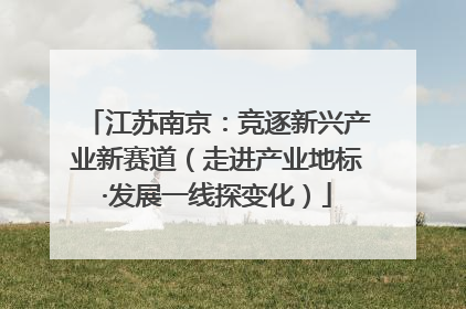 江苏南京：竞逐新兴产业新赛道（走进产业地标·发展一线探变化）