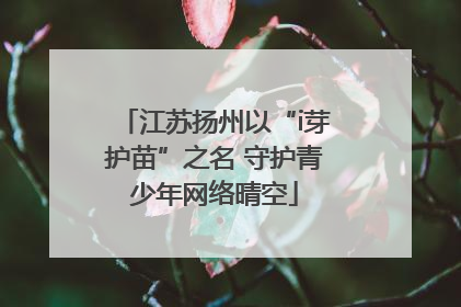 江苏扬州以“i芽护苗”之名 守护青少年网络晴空