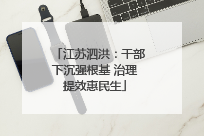 江苏泗洪：干部下沉强根基 治理提效惠民生