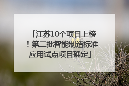 江苏10个项目上榜！第二批智能制造标准应用试点项目确定