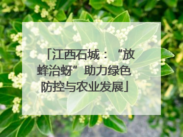 江西石城：“放蜂治蚜”助力绿色防控与农业发展