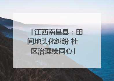 江西南昌县：田间地头化纠纷 社区治理绘同心