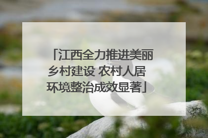 江西全力推进美丽乡村建设 农村人居环境整治成效显著