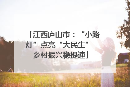 江西庐山市：“小路灯”点亮“大民生” 乡村振兴稳提速