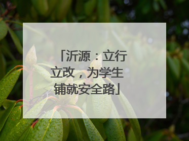 沂源：立行立改，为学生铺就安全路