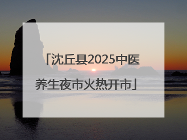 沈丘县2025中医养生夜市火热开市