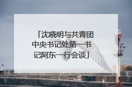 沈晓明与共青团中央书记处第一书记阿东一行会谈