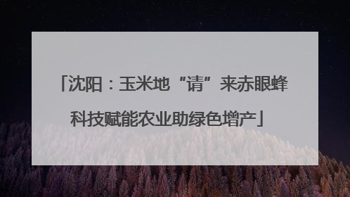 沈阳：玉米地“请”来赤眼蜂 科技赋能农业助绿色增产