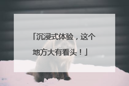 沉浸式体验，这个地方大有看头！