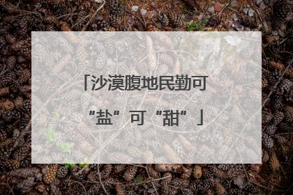 沙漠腹地民勤可“盐”可“甜”