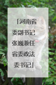 河南省委副书记张巍兼任省委政法委书记