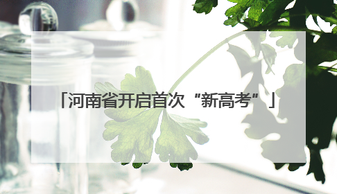 河南省开启首次“新高考”