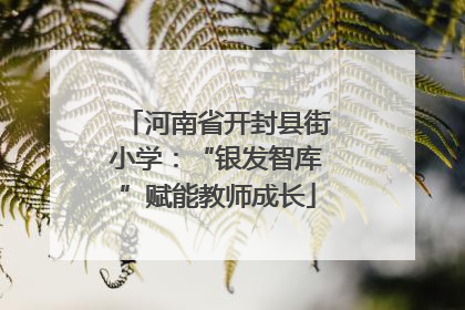河南省开封县街小学：“银发智库”赋能教师成长