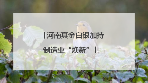 河南真金白银加持制造业“焕新”