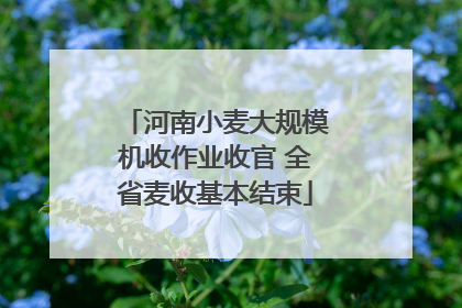 河南小麦大规模机收作业收官 全省麦收基本结束