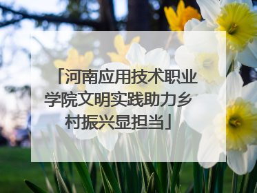 河南应用技术职业学院文明实践助力乡村振兴显担当