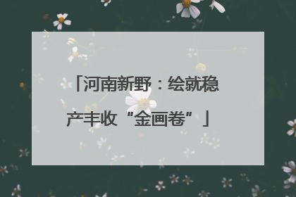 河南新野：绘就稳产丰收“金画卷”