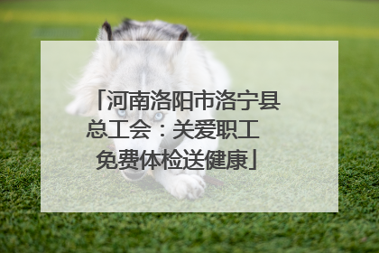 河南洛阳市洛宁县总工会：关爱职工 免费体检送健康