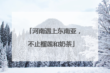 河南遇上东南亚，不止榴莲和奶茶