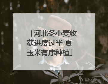 河北冬小麦收获进度过半 夏玉米有序种植