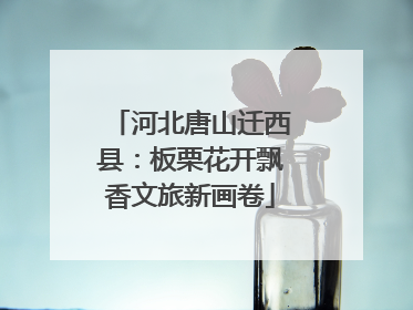 河北唐山迁西县：板栗花开飘香文旅新画卷