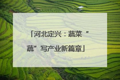 河北定兴：蔬菜“蔬”写产业新篇章